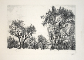 Белоусов П. П.