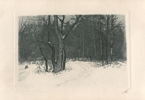 Белоусов П. П.