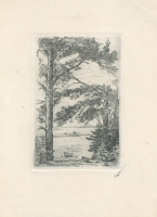 Белоусов П. П.