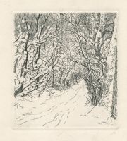 Белоусов П. П.