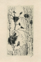 Белоусов П. П.