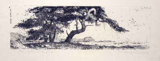 Пен-Варлен (Варлен)