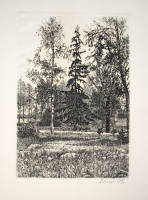 Шураев А. И.