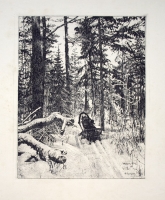 Шураев А. И.