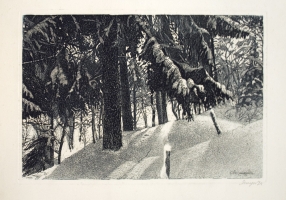 Шураев А. И.