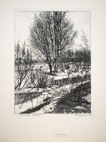 Шураев А. И.