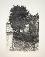 Шураев А. И.