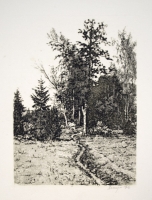 Шураев А. И.