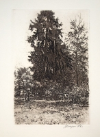 Шураев А. И.